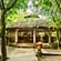 Tiger Camp New1