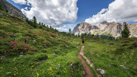 A hiker walks along a narrow trail through a green, flower-filled meadow towards rocky mountains under a partly cloudy sky.