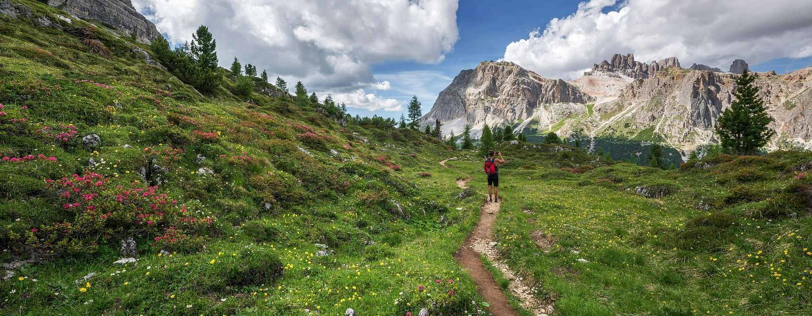 Image featuring a narrow path with grass spread on both sides and mountains in the background.