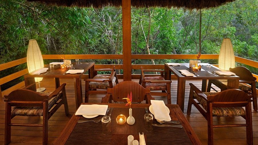 Wooden dining area with tables set for a meal, overlooking a forested area.