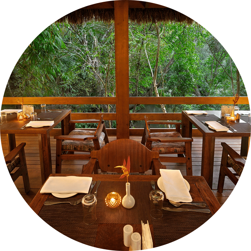 Wooden dining area with tables set for a meal, overlooking a forested area.