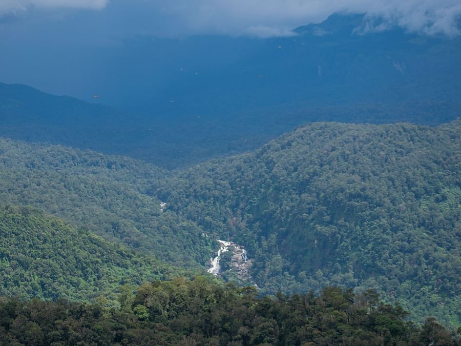 an aerial view from the hilltop of the forest with a river's stream in the centre - Ibex Stays & Trails, Valparai (Mistly)