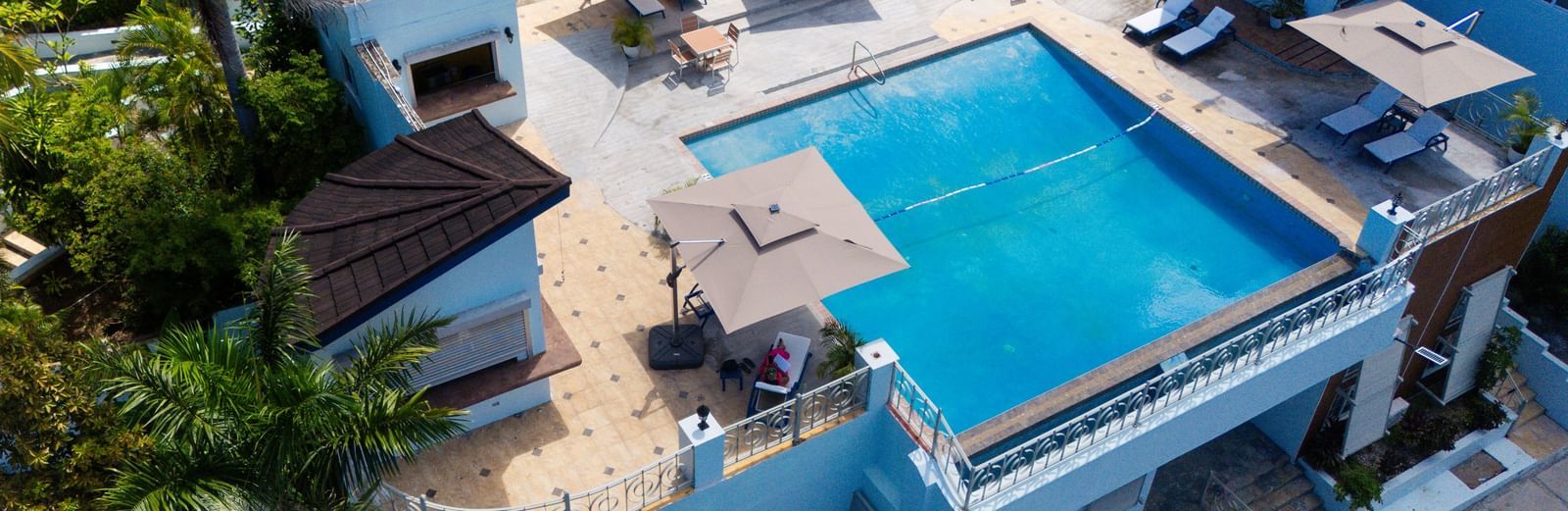 An aerial view of a rooftop pool surrounded by greenery on all sides - Hotel 39, Jamaica (Montego Bay) - Closest Jamaican Restaurant