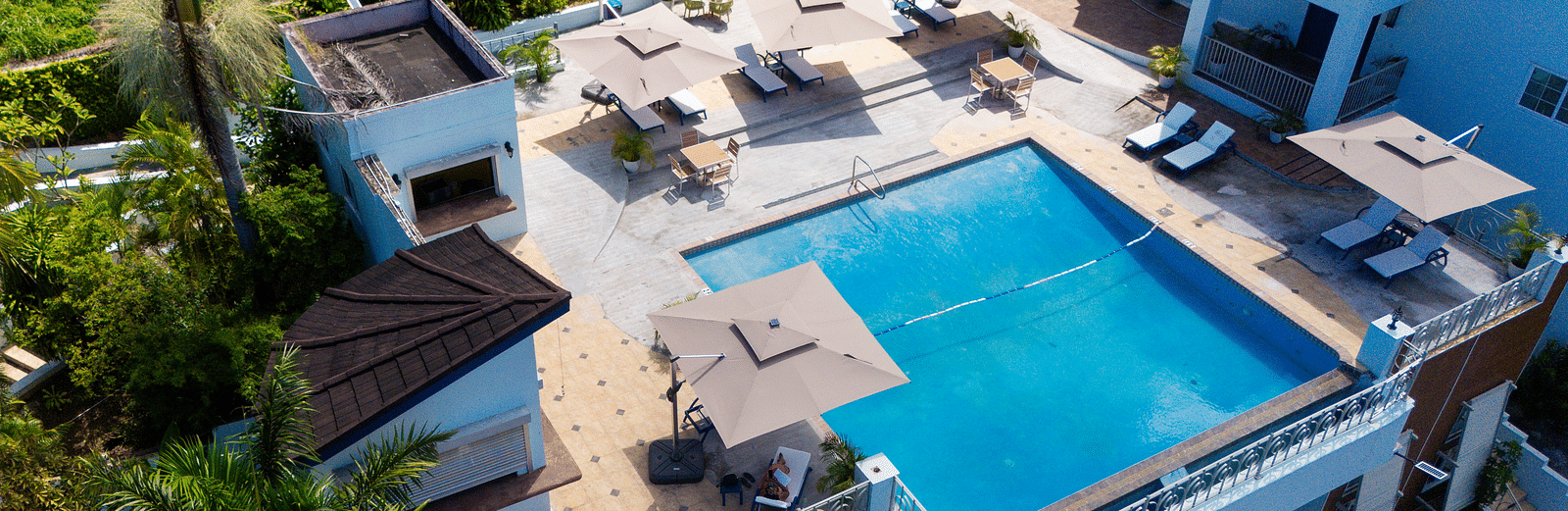 An aerial image of a rooftop pool surrounded by greenery on all sides - Hotel 39, Jamaica (Montego Bay)