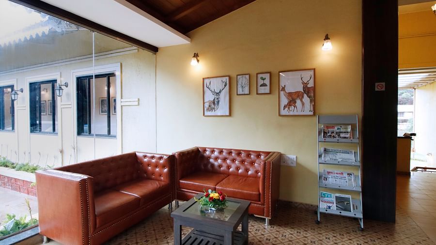 Sofas with newspapers on the side rack at Rahi Forest View