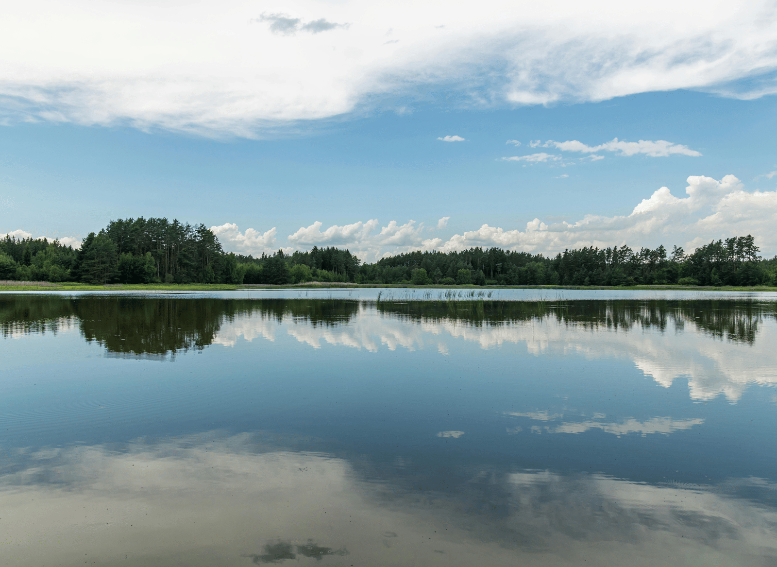 pexels-ganajp-17863811