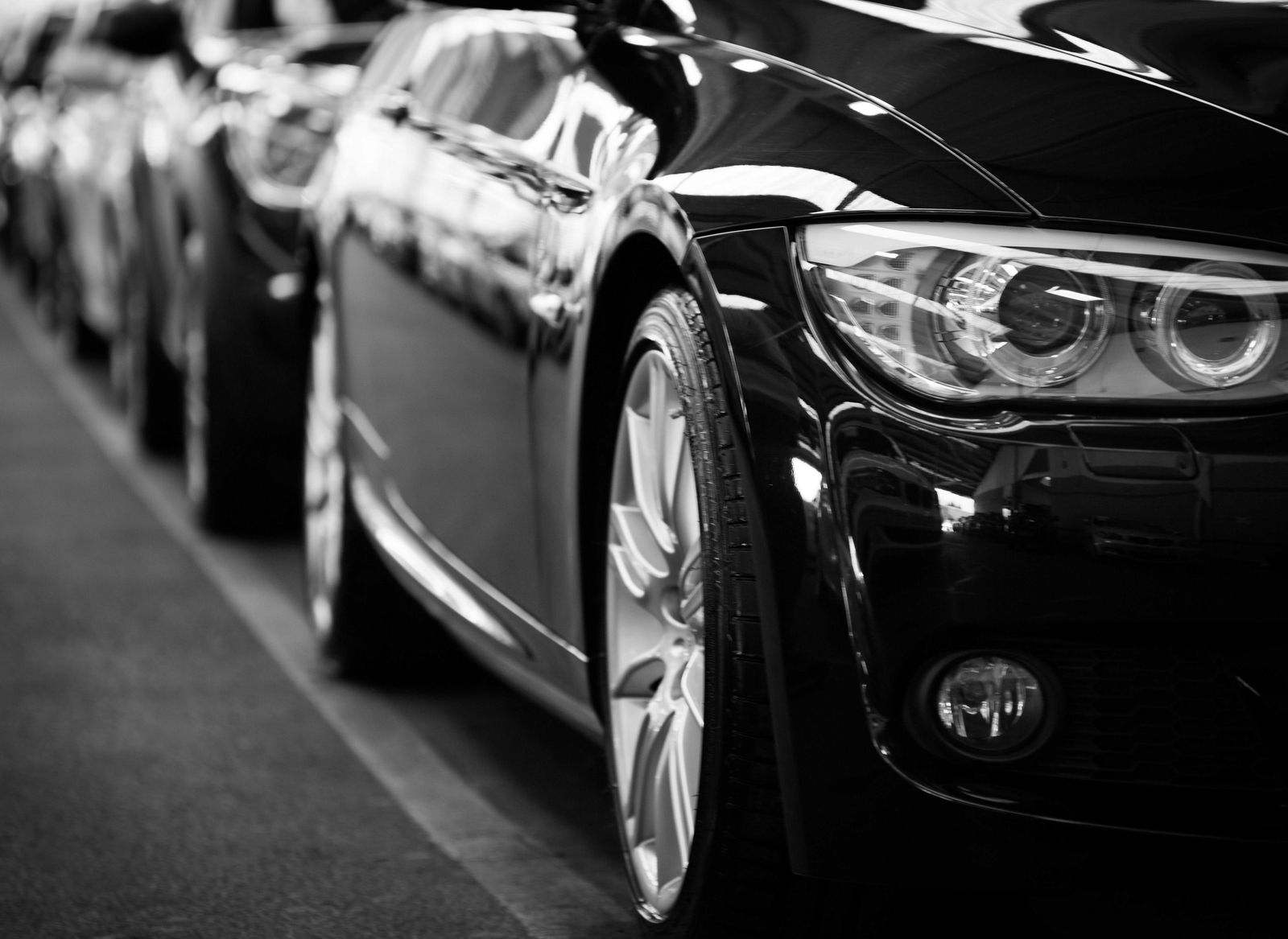 A row of motor cars in a showroom.