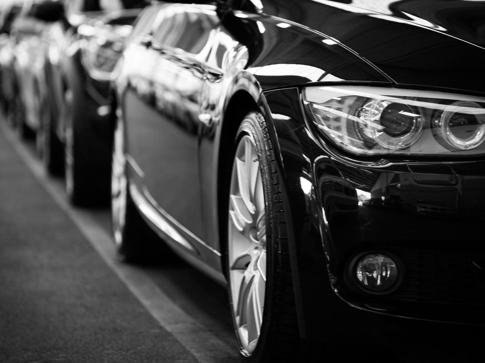 Close-up view of cars lined up along the road.