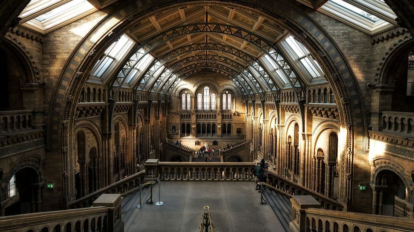An overview of a museum with sunlight shining down from the windows above