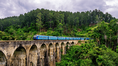 a moving train on a bridge captured during daytime amidst green trees and clear blue sky
