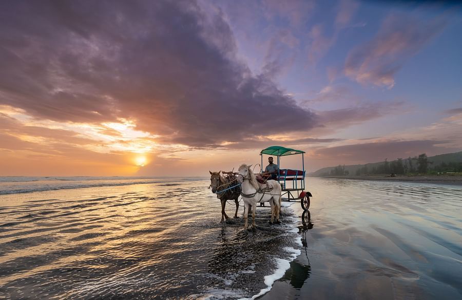 Lotus Eco beach resort, horse carriage 