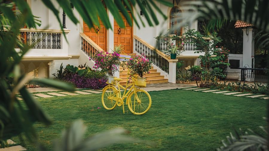 a yellow bicycle in the lawn
