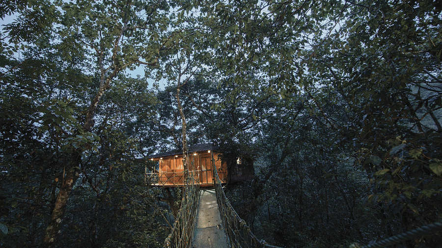 A tree house connected with a rope bridge amidst greenery | Vythiri Resort. Wayanad