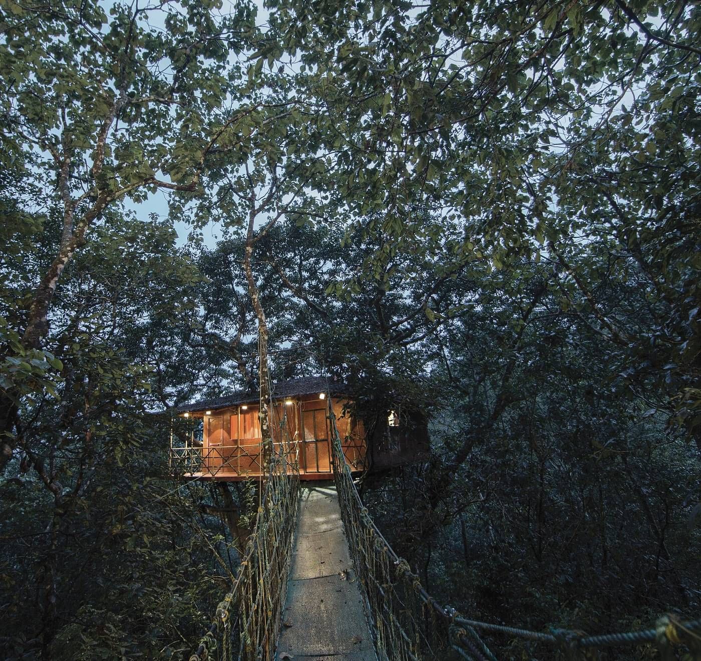 A tree house connected with a rope bridge amidst greenery | Vythiri Resort. Wayanad