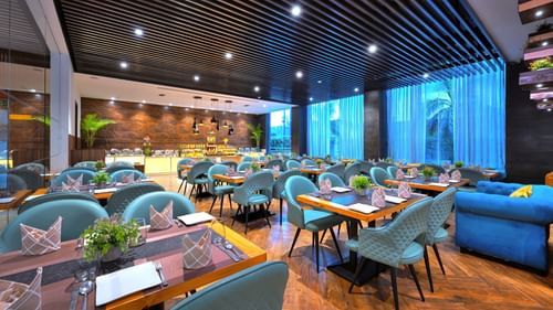 An image of Sumac Restaurant in Agra filled with blue coloured chairs placed in front of tables creating a great ambience for dining - Golden Tulip, Agra