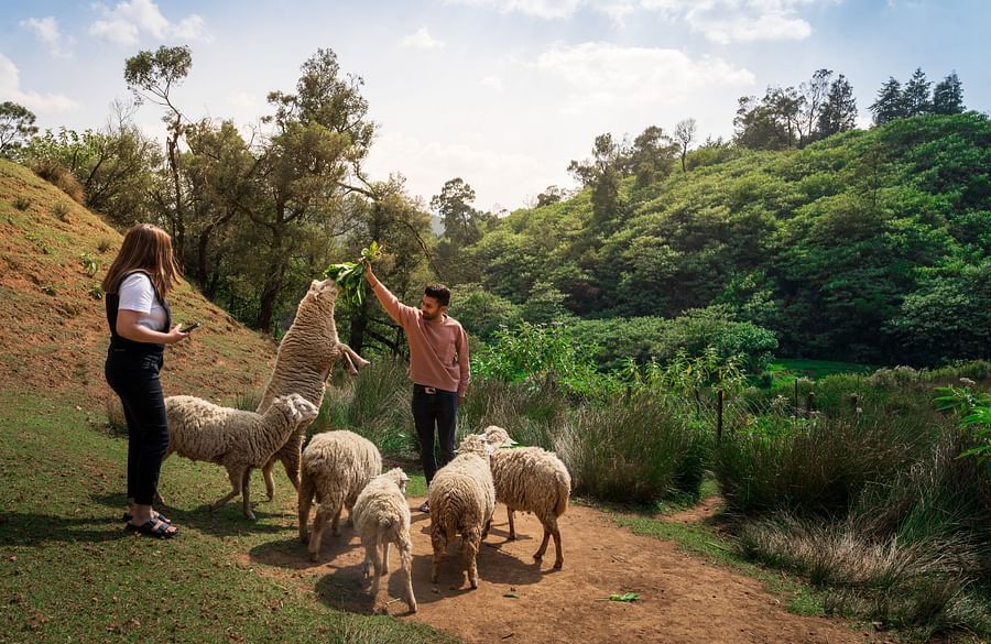 two people feeding the animals at destiny farms