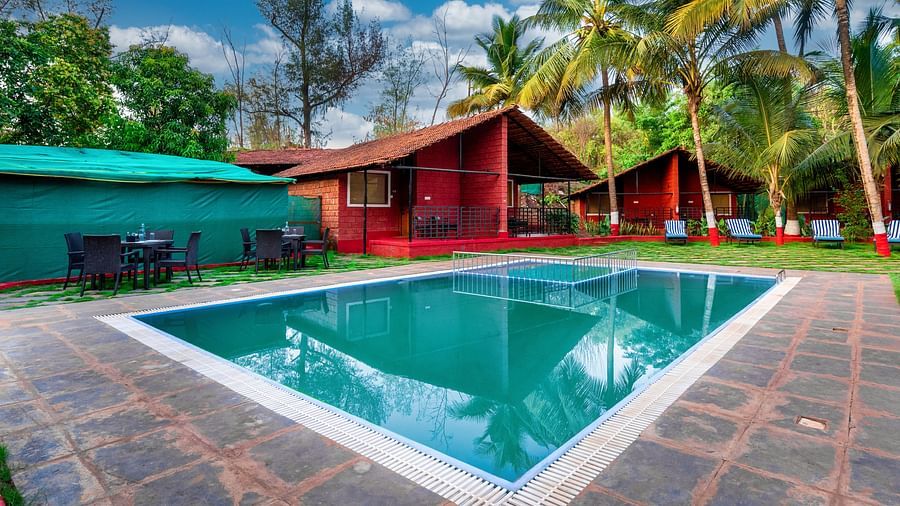 Swimming Pool 5
