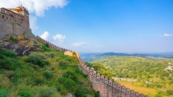 A long and continuous stone wall surrounded by lush greenery on a hill