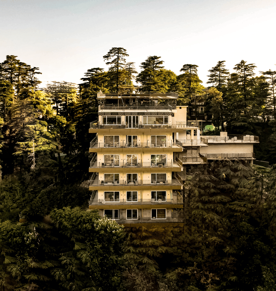 The Belvedere Himalayan Retreat, McLeodganj rising above a forested hillside, with a multi storey heritage style building surrounded by tall pine trees.