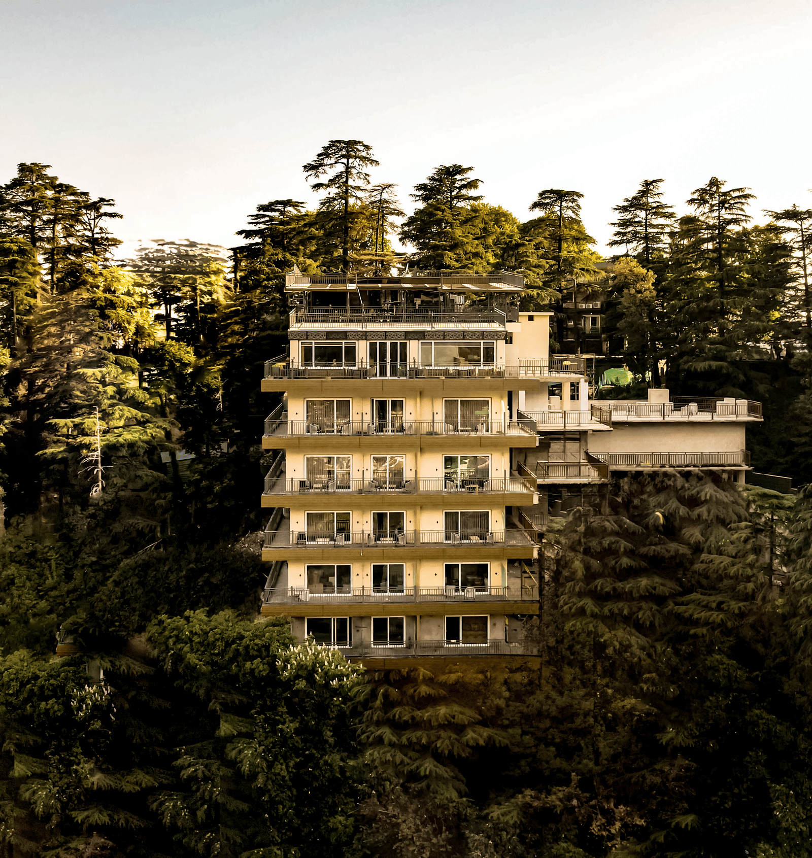 The Belvedere Himalayan Retreat, McLeodganj rising above a forested hillside, with a multi storey heritage style building surrounded by tall pine trees.