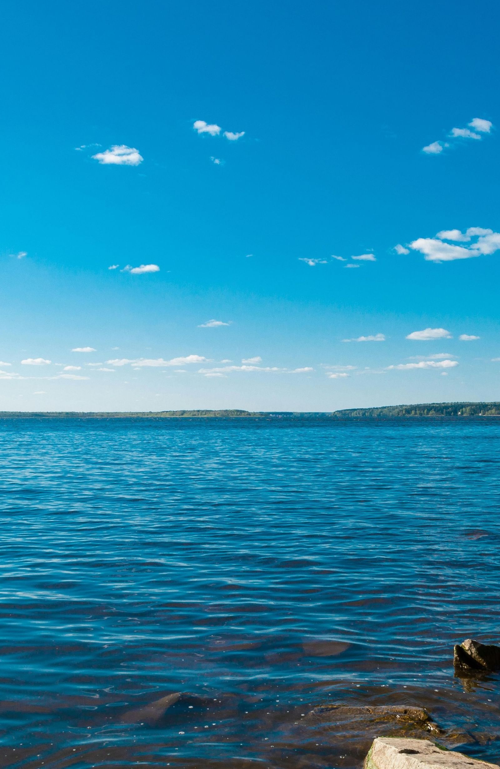 View of a lake on a clear, blue day
