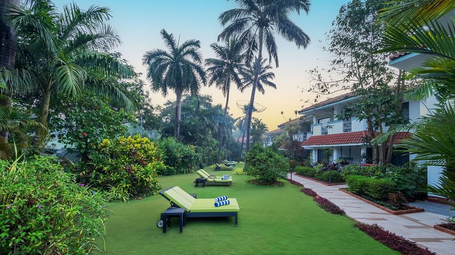 Well-maintained garden lawn with palm trees, sunbeds, and a resort building in the background.