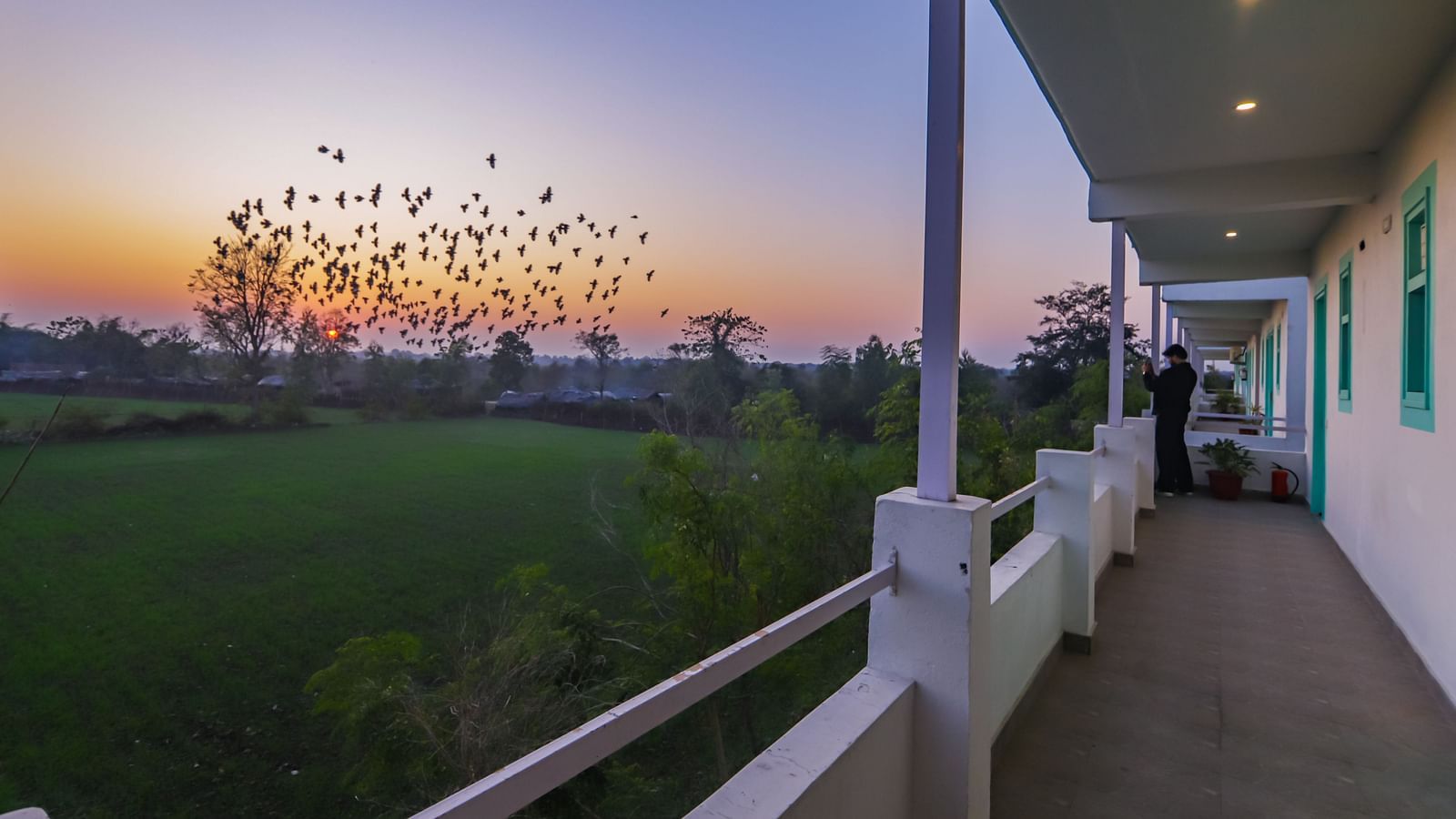 Balcony view from the resort capturing a flock of birds flying over farmlands at sunrise.