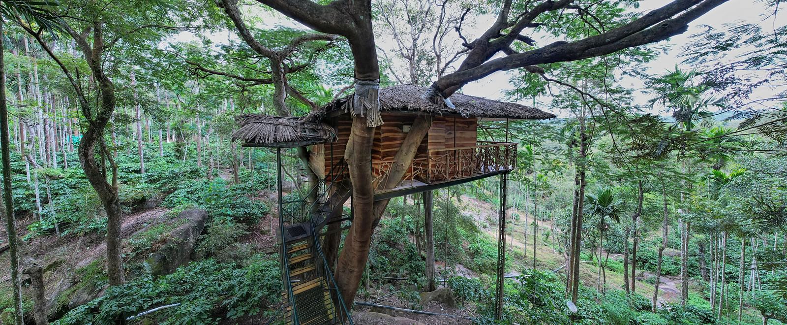 A rustic treehouse perched amongst tall trees in a lush, green environment - BluSalzz Collection - Tranquil Resort, Wayanad