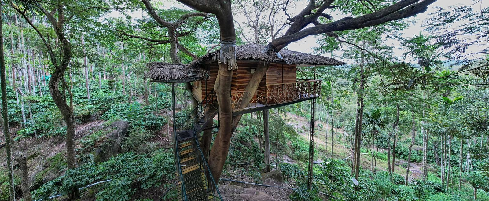 A rustic treehouse perched amongst tall trees in a lush, green environment - BluSalzz Collection - Tranquil Resort, Wayanad