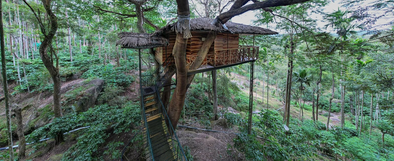 A rustic treehouse perched amongst tall trees in a lush, green environment - BluSalzz Collection - Tranquil Resort, Wayanad