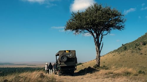 image of a safari jeep parked besides a tree on an arid pathway with a bright blue sky in the background