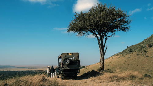 image of a safari jeep parked besides a tree on an arid pathway with a bright blue sky in the background