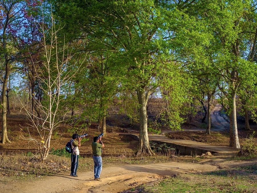 Nature walk