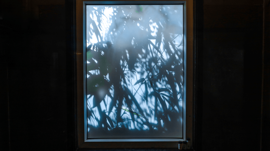 A square window at Estherea Resort & Spa, Jaipur, looking out onto dense green foliage and trees under bright daylight.