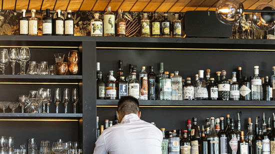 A bartender seen from behind working at a well-stocked bar with multiple shelves of bottles.