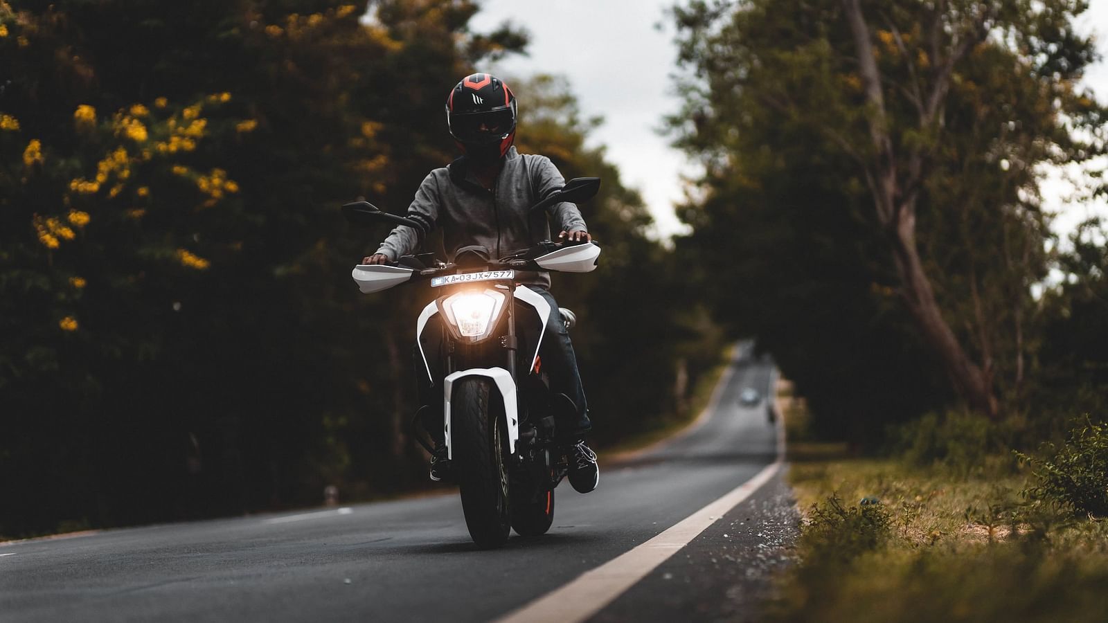 A motorcycle travels on a paved road through a wooded area.