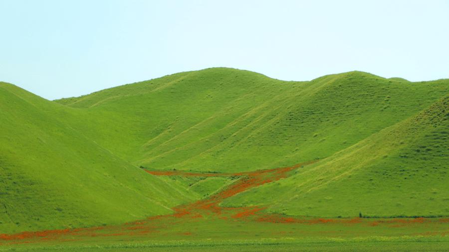 Rayta Hills Udaipur
