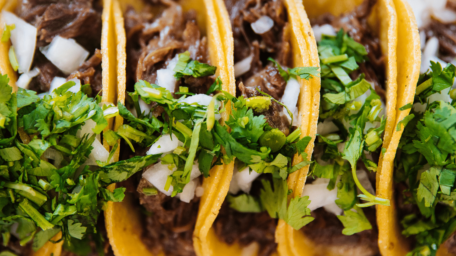 A close up shot of many tacos served with meat and cilantro in it.