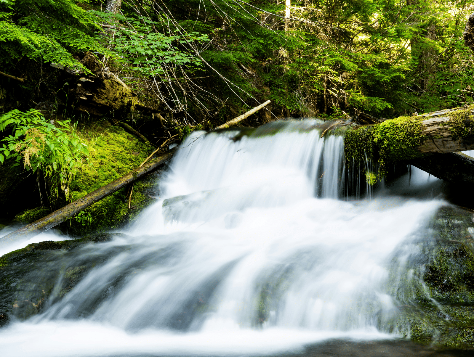 Must-visit Places in Manali | Tourist Attractions in Manali