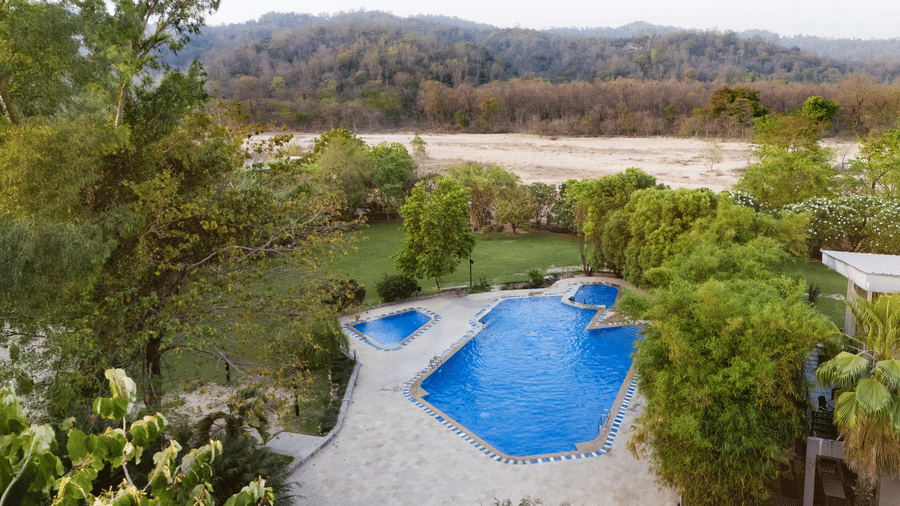 Outdoor swimming pool surrounded by lush green trees at The Golden Tusk, Jim Corbett
