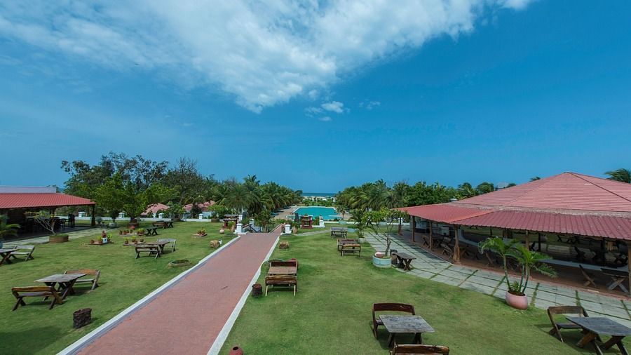 Swimming pool at Chariot Beach Resort in Mahabalipuram 1