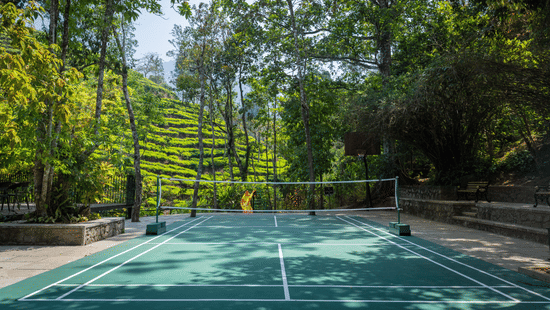 An outdoor green badminton court with painted white lines sits surrounded by trees and a stone retaining wall.