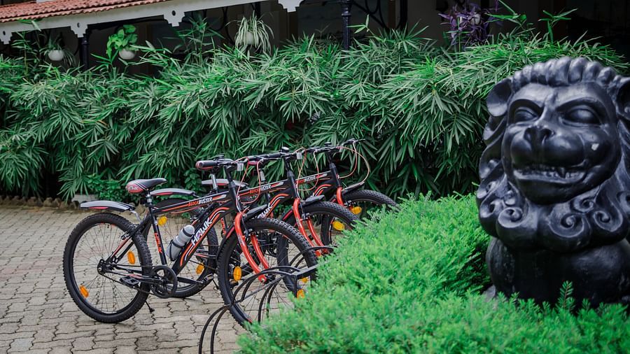 bicycles parked in the parking space