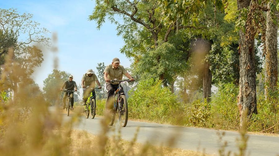 Cycling tours near Bhopal