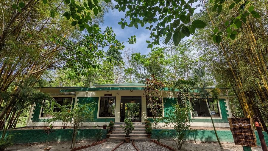 Exterior of the reception surrounded by trees at The Riverwood Forest Retreat, Dooars