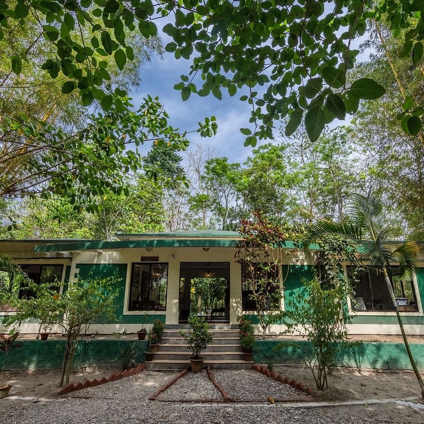Exterior of the reception surrounded by trees at The Riverwood Forest Retreat, Dooars
