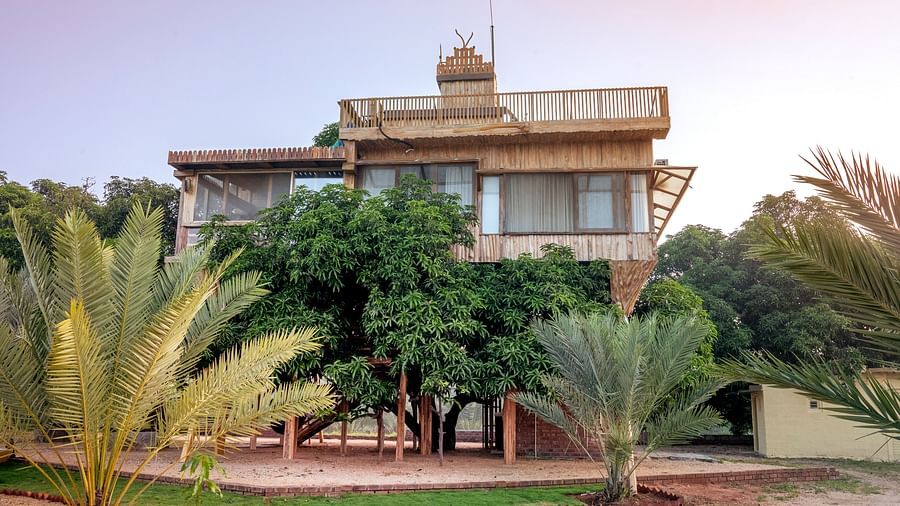 Facade of a tree house that is surrounded by greenery | Habba Dates Villa, Hampasandra