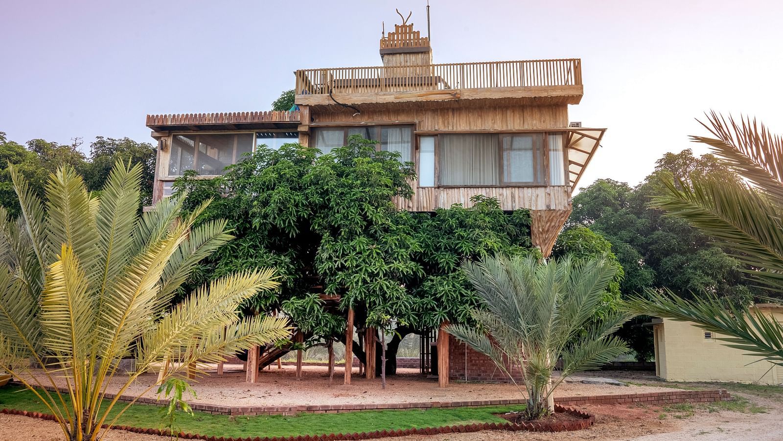 Facade of a tree house that is surrounded by greenery | Habba Dates Villa, Hampasandra