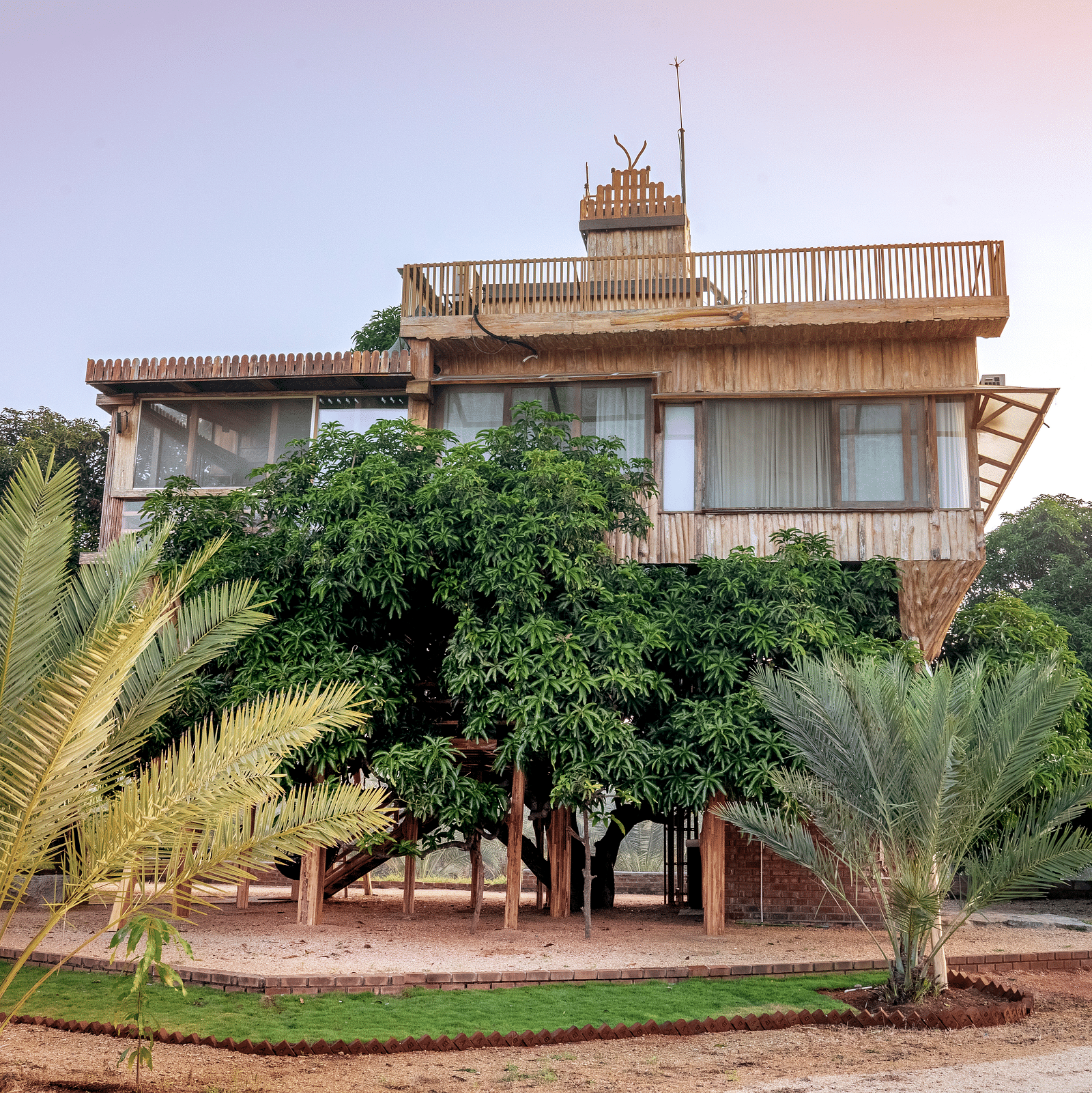 Facade of a tree house that is surrounded by greenery | Habba Dates Villa, Hampasandra