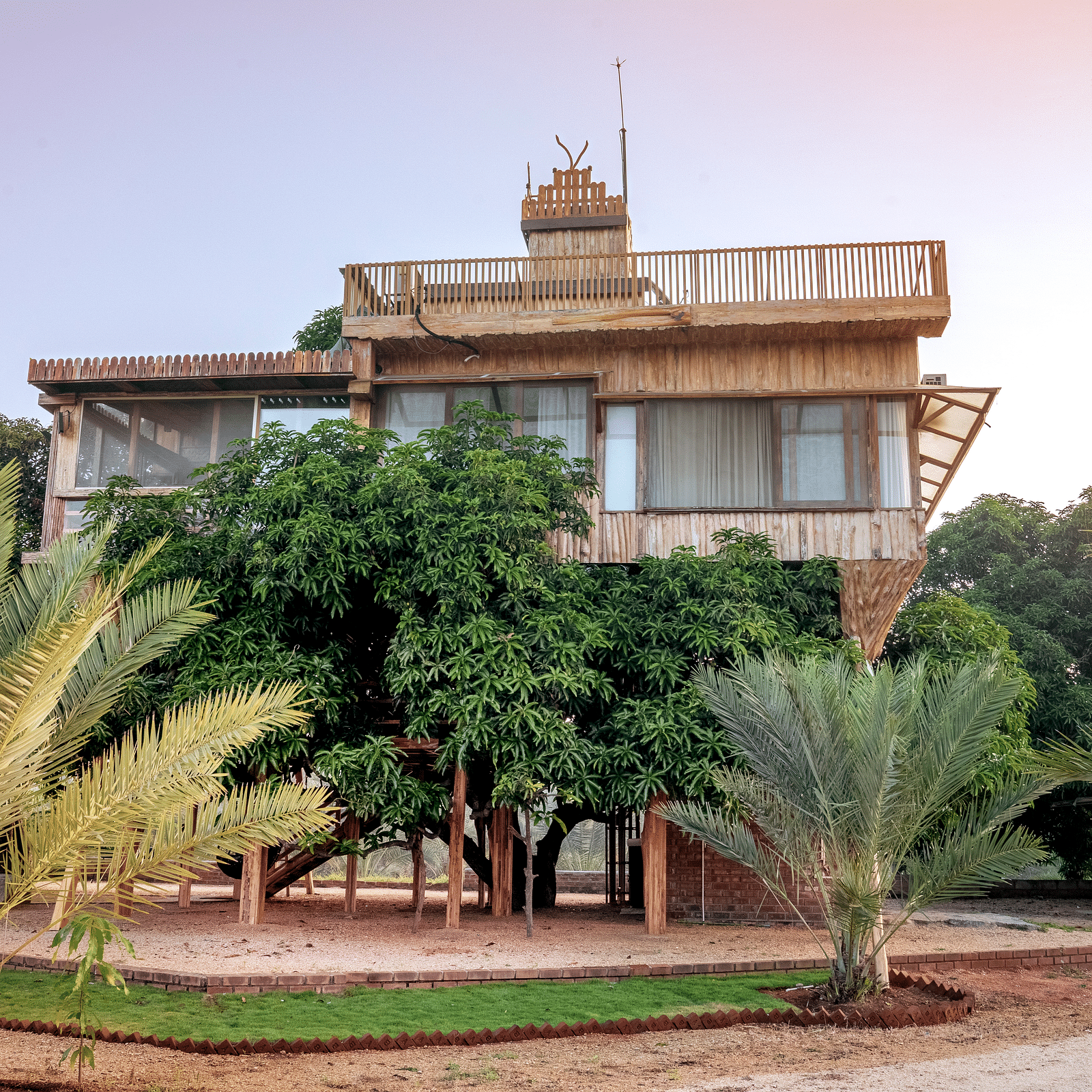 Facade of a tree house that is surrounded by greenery | Habba Dates Villa, Hampasandra